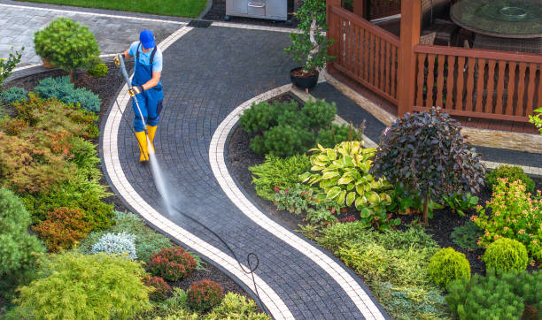 Best Deck Cleaning Services  in Churchville, NY